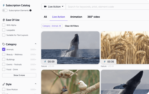 ฟิลเตอร์